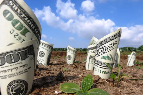 Hundred-dollar bills growing out of the earth.