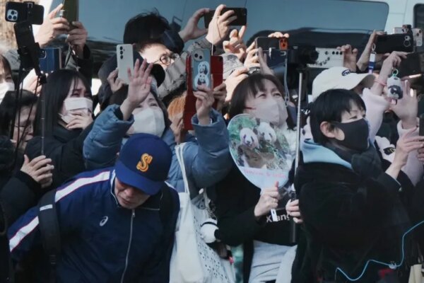 Panda lovers wave goodbye to a truck believed to be carrying the twin pandas upon a departure from Ueno Zoo in Tokyo on January 27, 2026, heading towards their return to China. (Photo by Kazuhiro NOGI / AFP)