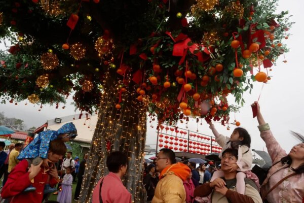 Hong Kong crowds flock to Tai Po wishing tree for Lunar New Year blessings