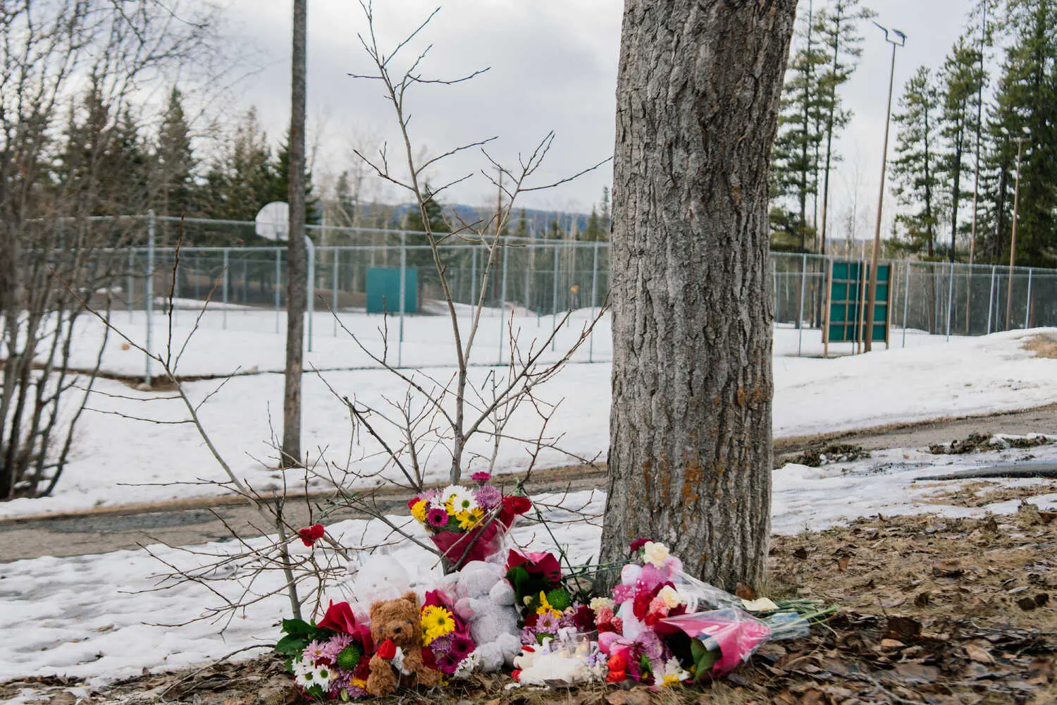 Family Grieves Daughter Killed in Canada Mass Shooting