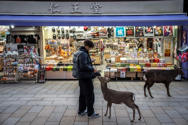 Image: A tourist feeds a deer outside a store