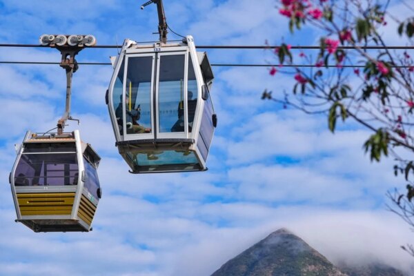 Personal data stolen in ransomware attack on Hong Kong’s Ngong Ping 360 attraction