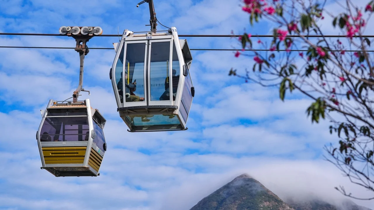 Personal data stolen in ransomware attack on Hong Kong’s Ngong Ping 360 attraction