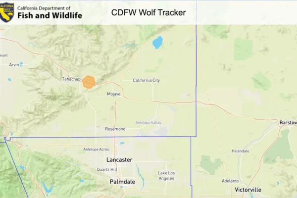 Last known location of BEY03F.