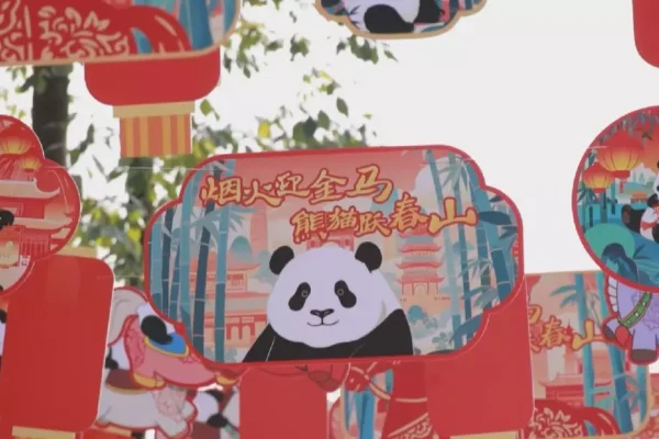 Visitors flock to Chengdu panda base amid Spring Festival holiday