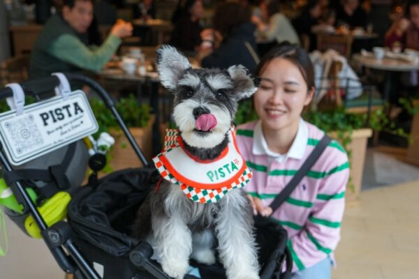 Government’s proposal for dogs in eateries a ‘step forward’ for Hong Kong: lawmakers