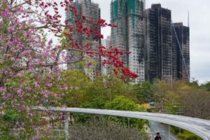 Residents of fire-ravaged Wang Fuk Court can retrieve belongings from late April