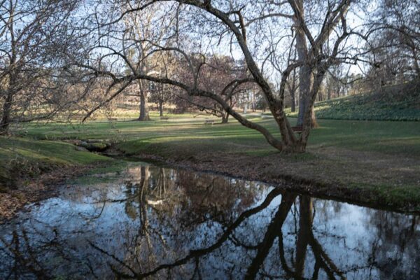 Magnolia and other trees were yet to bloom in Valley Garden Park in Greenville, Tuesday, April 1, 2025.