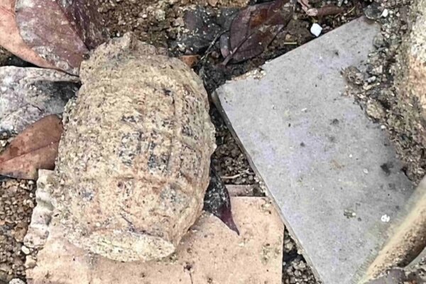 Suspected wartime grenade found in Hong Kong residential area