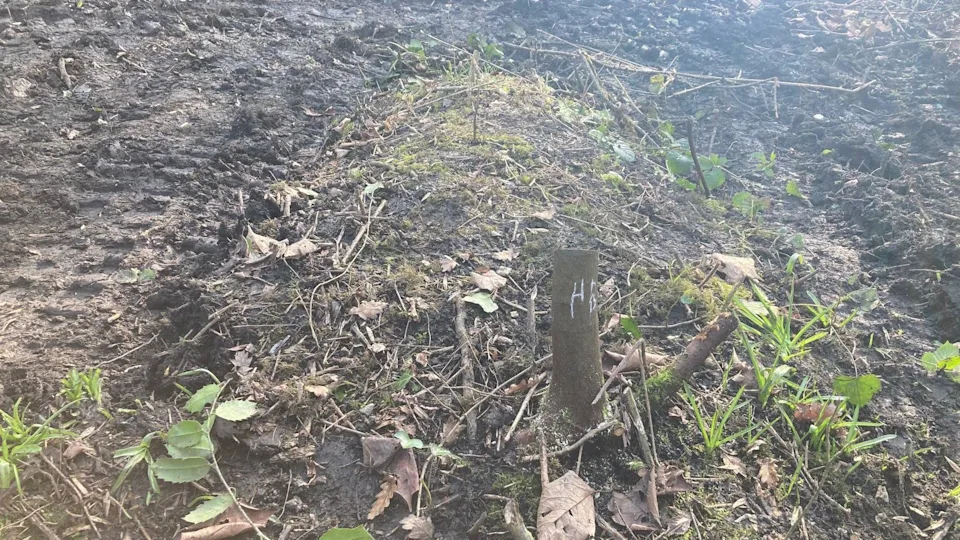 A small tree stump with chalk lettering on it with a green mossy mound behind