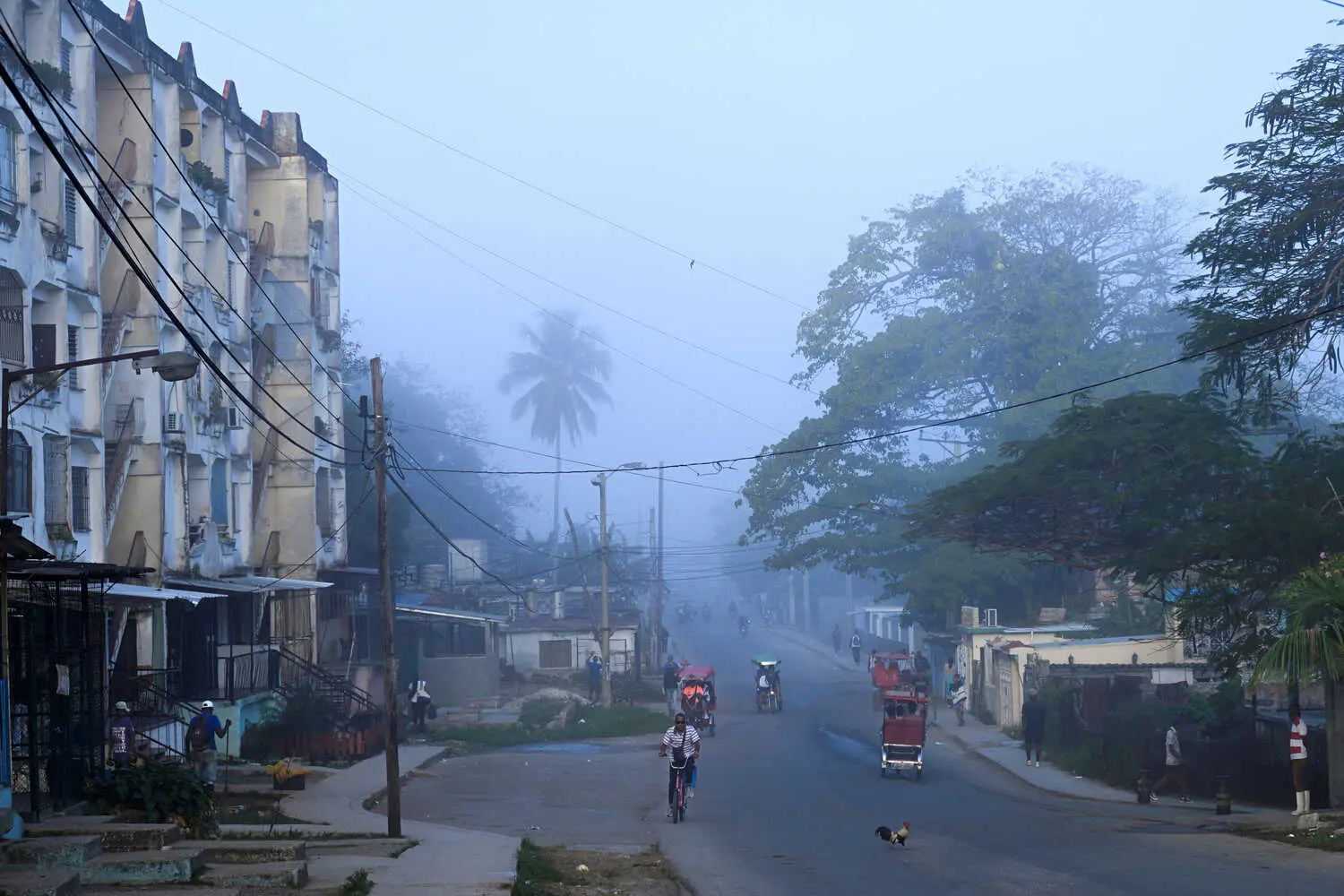 A hazy street scene shows a curved road lined with buildings and large trees. People move on foot, bicycle, and in three-wheeled vehicles, as a rooster walks in the foreground.