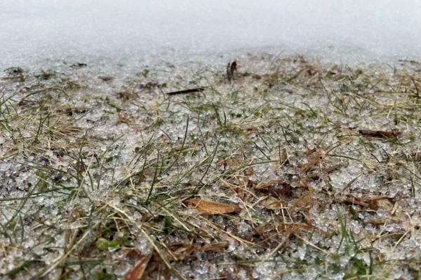 A combination of sleet and freezing rain closed schools in parts of Connecticut earlier this week. (Dan Amarante)