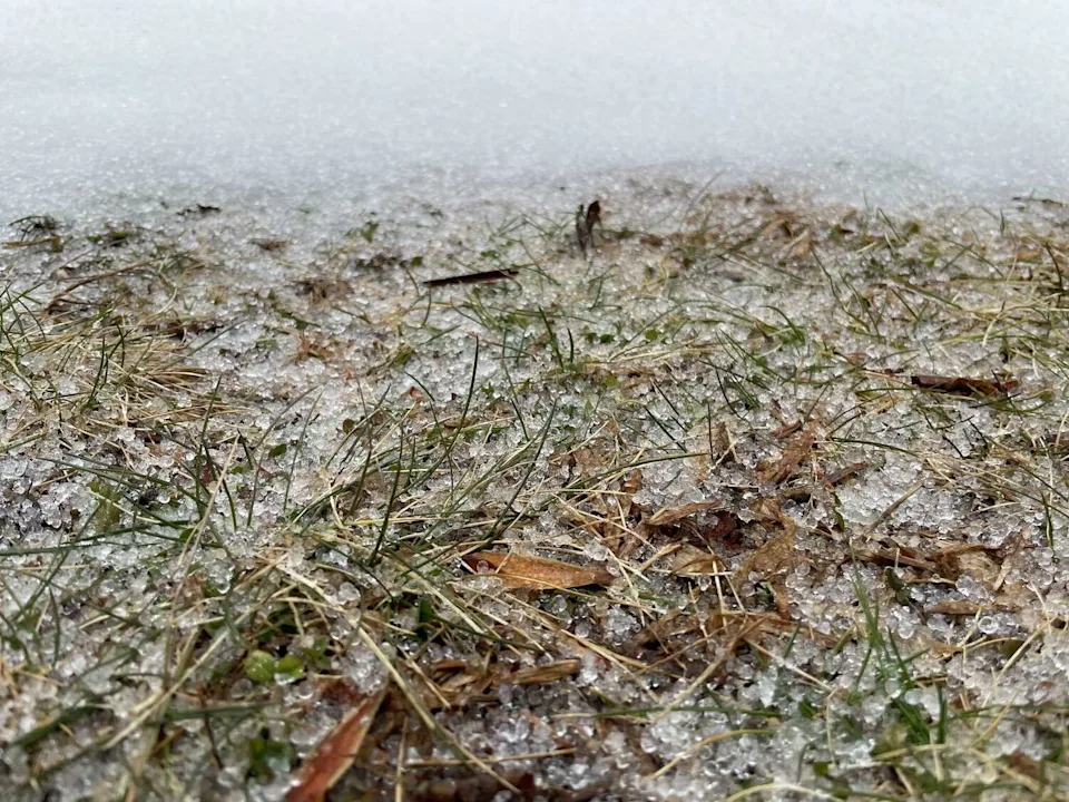 A combination of sleet and freezing rain closed schools in parts of Connecticut earlier this week. (Dan Amarante)