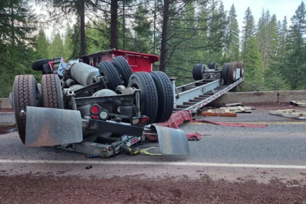 A semi-truck hauling millions of bees overturned near Crater Lake on March 17, blocking the highway and scattering hundreds of bee boxes across the road.