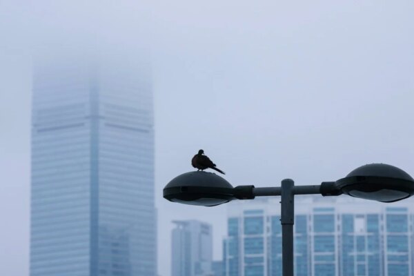 Damp days ahead in Hong Kong, with 95% humidity expected in midweek