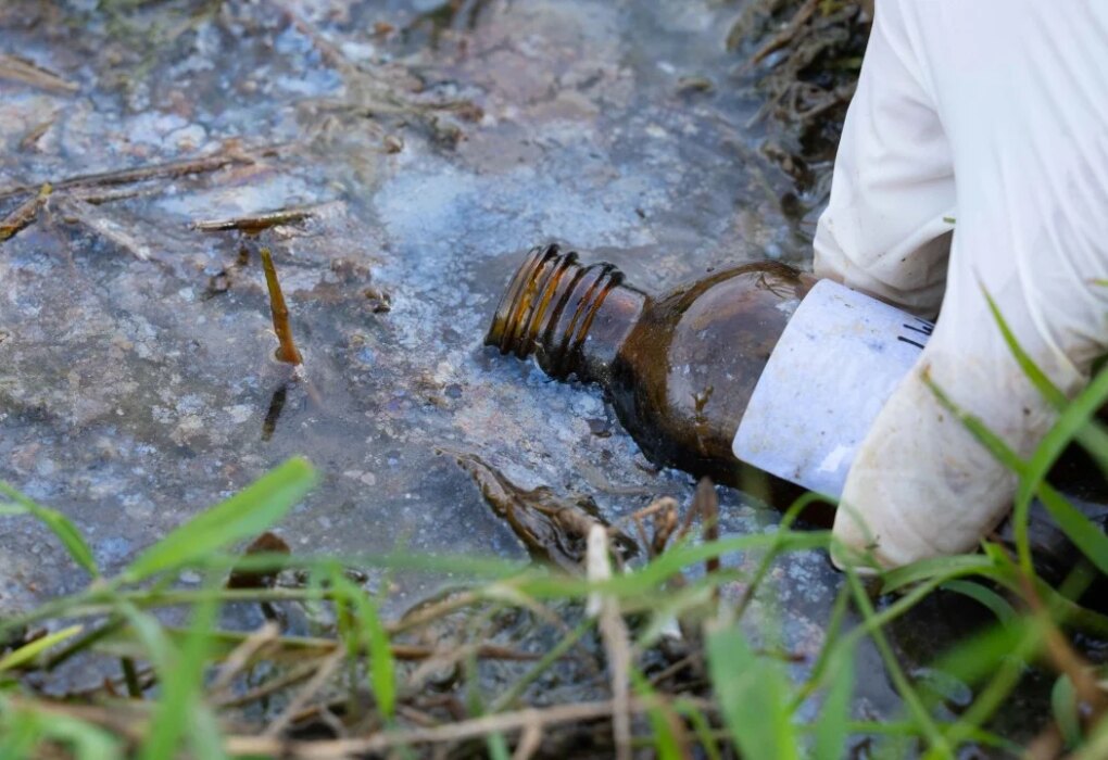 Hong Kong wetland records 40 times more petroleum after oil spill: Greenpeace