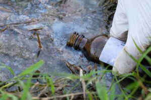 Hong Kong wetland records 40 times more petroleum after oil spill: Greenpeace