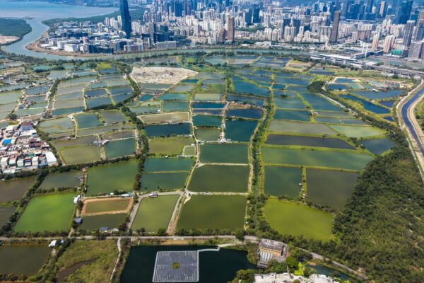 Measures to streamline Northern Metropolis land-use procedures unveiled