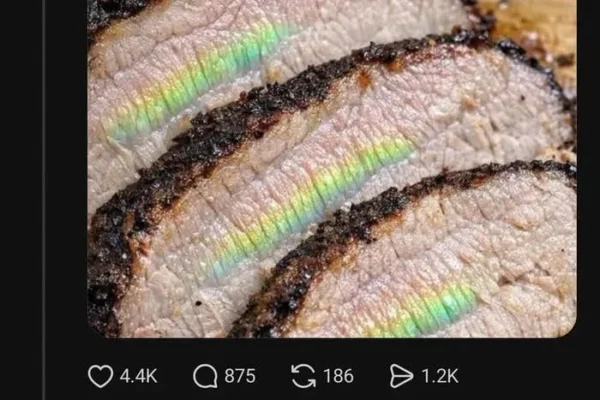 Text exchange image. Top: Concern about pork roast's rainbow appearance. Bottom: Humorous comment about cooking duration