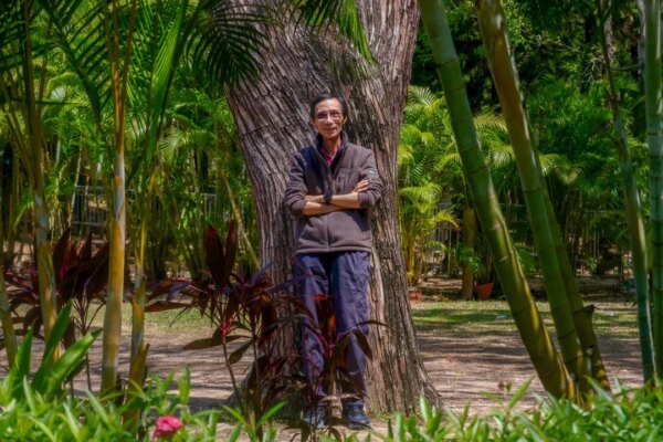 Veteran activist warns of ‘shrinking space’ for green advocacy in Hong Kong