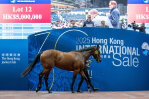 Quarantine Issues Delay Hong Kong International Sale