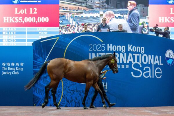 Quarantine Issues Delay Hong Kong International Sale