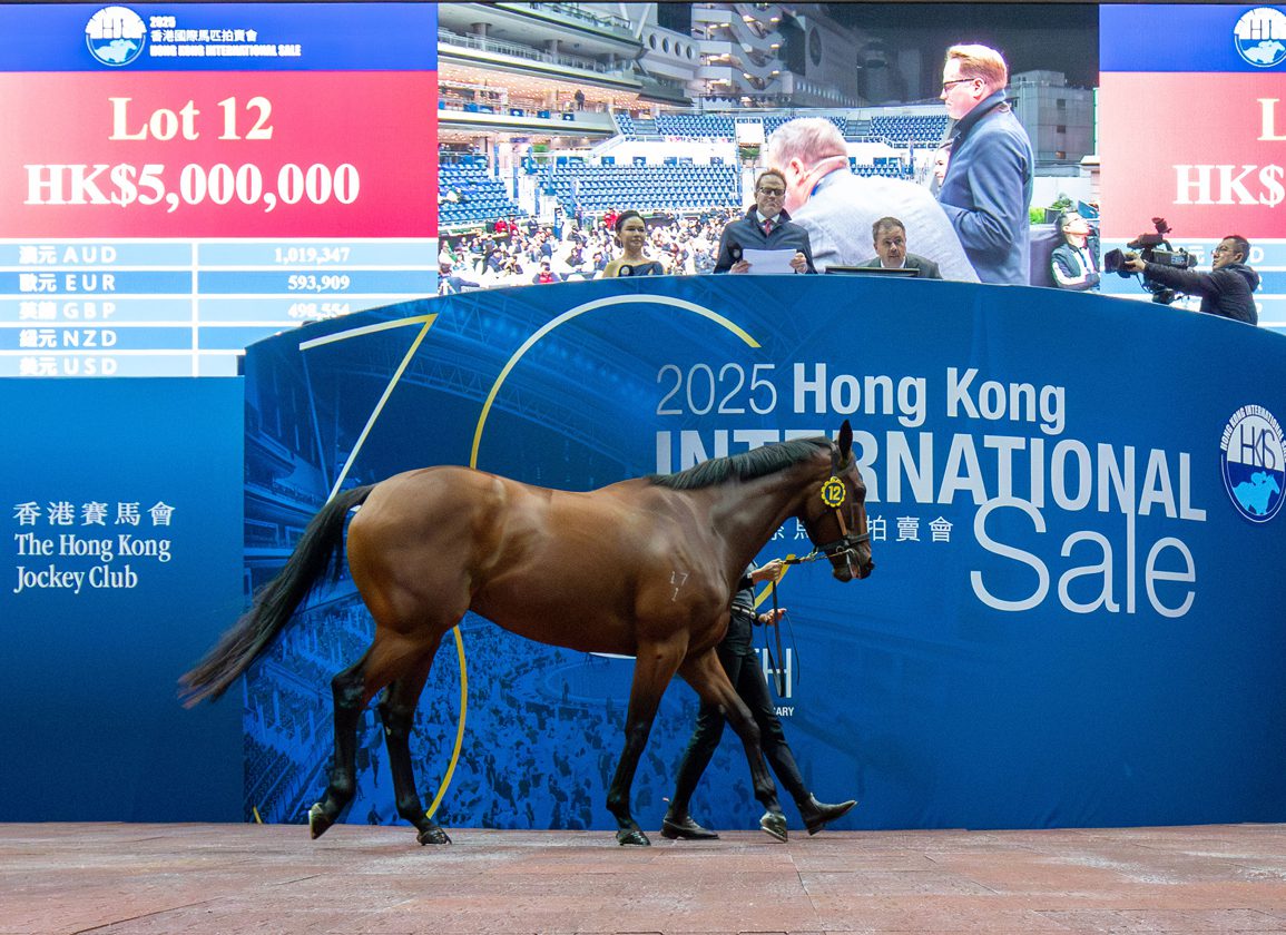 Quarantine Issues Delay Hong Kong International Sale