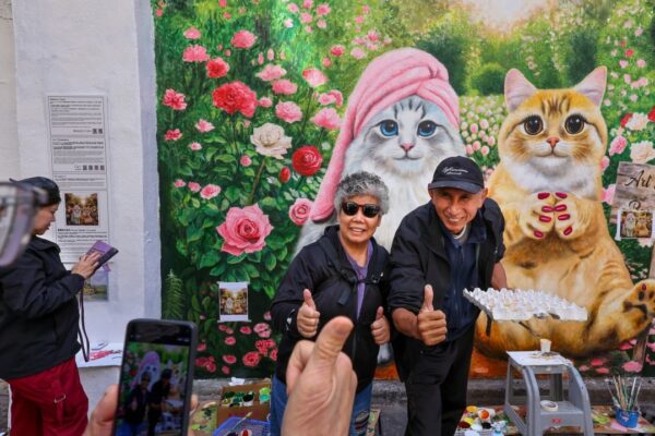 Purrs of approval for Yau Ma Tei cat mural as community art project draws crowds