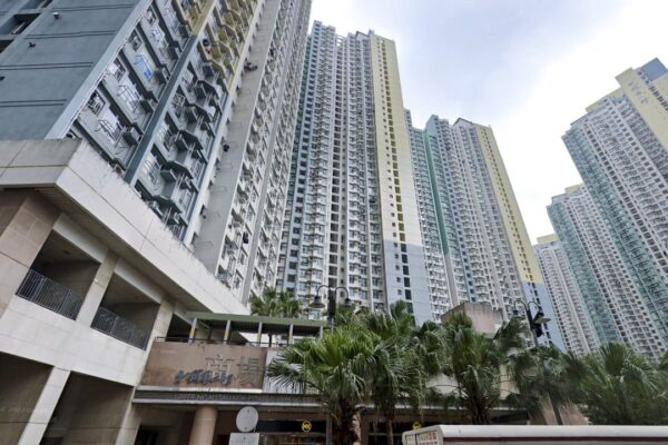 Mentally ill Hongkonger admits killing mother he mistook for ‘monster lizard’