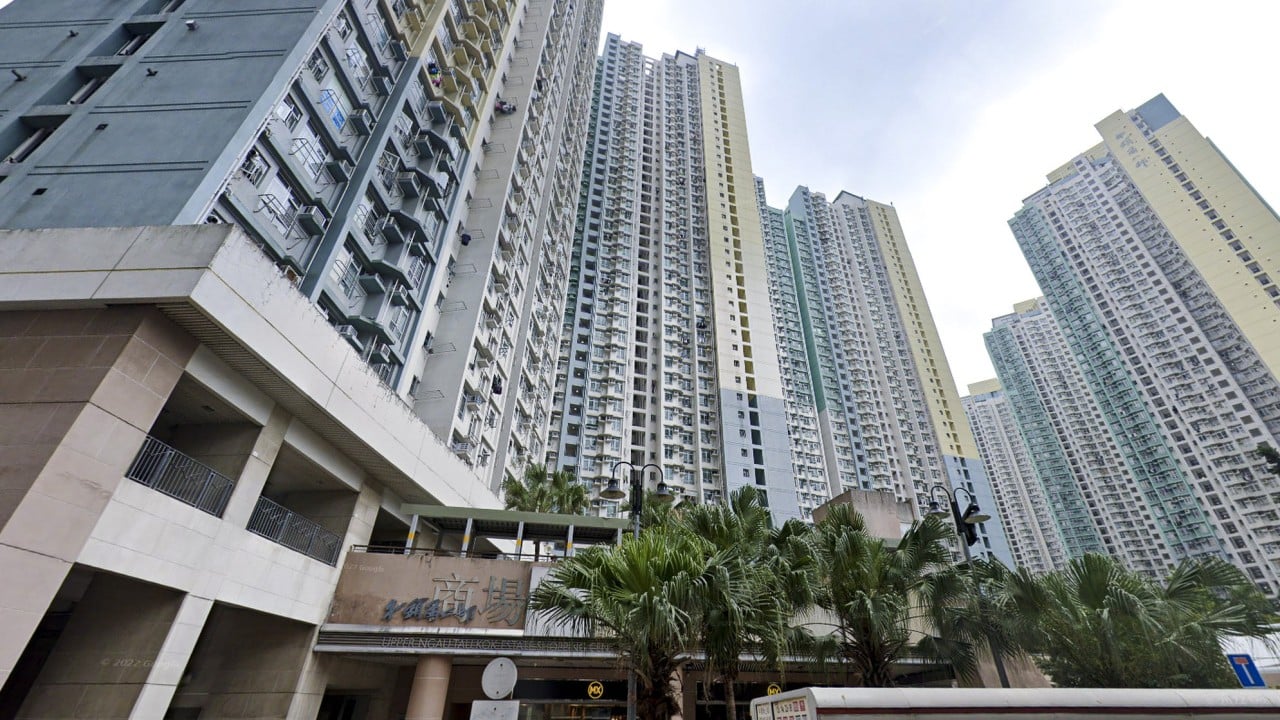 Mentally ill Hongkonger admits killing mother he mistook for ‘monster lizard’