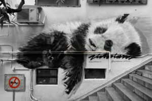 How Alexandra Unrein fell in love with Hong Kong’s street art scene