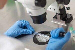 Chinese company to use AI-powered chromosome testing to boost profits and fast-track IVF