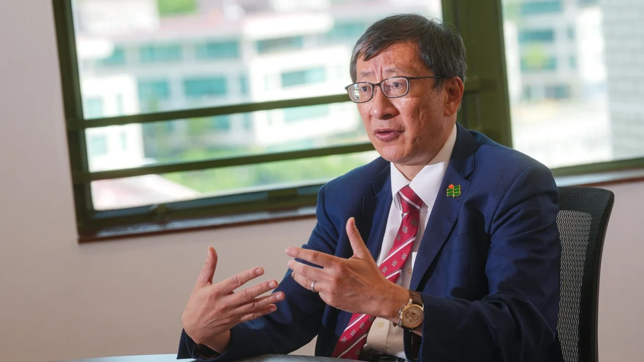 Hong Kong schools urged to find ‘way out’ over falling student numbers