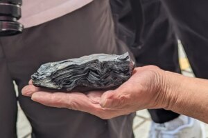 Wang Fuk Court resident finds charred HK$100,000 inheritance after opening safe