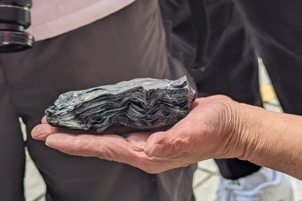 Wang Fuk Court resident finds charred HK$100,000 inheritance after opening safe