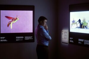 Celebrating science and nature