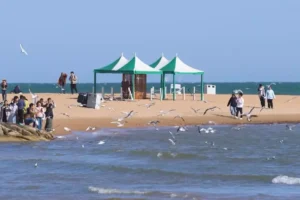 Spring outings boom during Qingming holiday in China