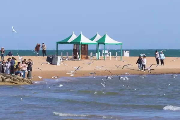 Spring outings boom during Qingming holiday in China