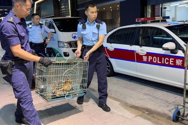Hong Kong to strengthen police coordination in animal abuse cases