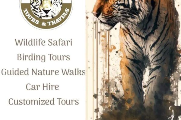 Brand new No deposit Bonus ️ Most recent Uk Local casino Also offers when you look at the April 2026