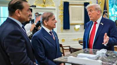 US President Donald Trump during a meeting with Pakistan Prime Minister Shehbaz Sharif and Field Marshal Asim Munir at the White House, in Washington, DC, USA (File photo/PTI)