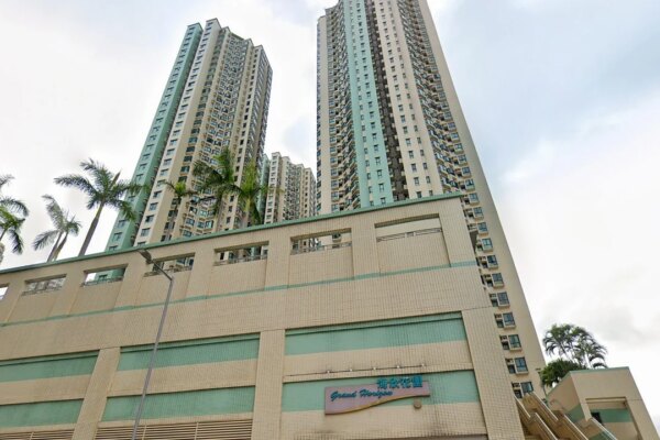 Helper arrested in Hong Kong for allegedly putting 2 young boys in dog cage