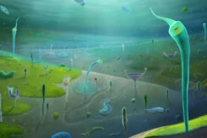 An artist’s reconstruction, based on fossils found in what's now China’s Yunnan province, depicts the Jiangchuan Biota about 554 million to 539 million years ago. - Xiaodong Wang