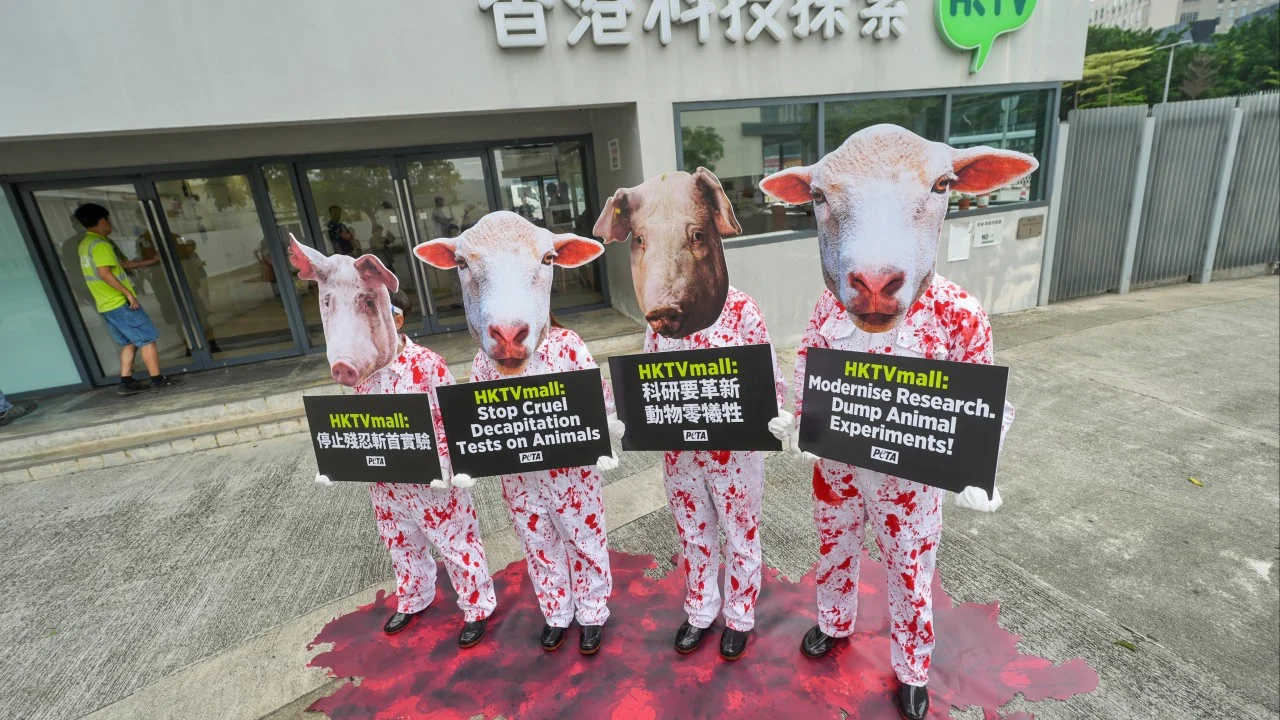 Hong Kong animal groups urge HKTVmall boycott over life science experiments