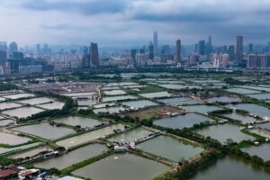 Hong Kong surplus hits HK$11 billion as finance chief ‘monitors’ Mideast war