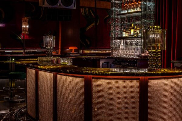 Dragon-i by Pirajean Lees