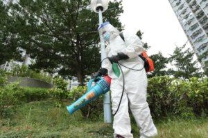 Hong Kong plans new trial of infecting male mosquitoes to halt offspring growth