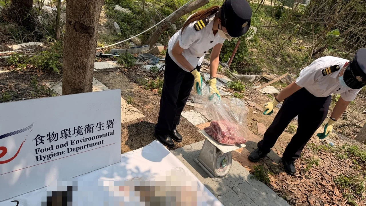 Hong Kong authorities use drones to help raid illegal slaughterhouse in Yuen Long