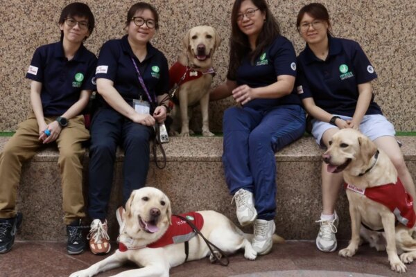 Hong Kong charity breeding Labrador with golden retriever to boost guide dog supply