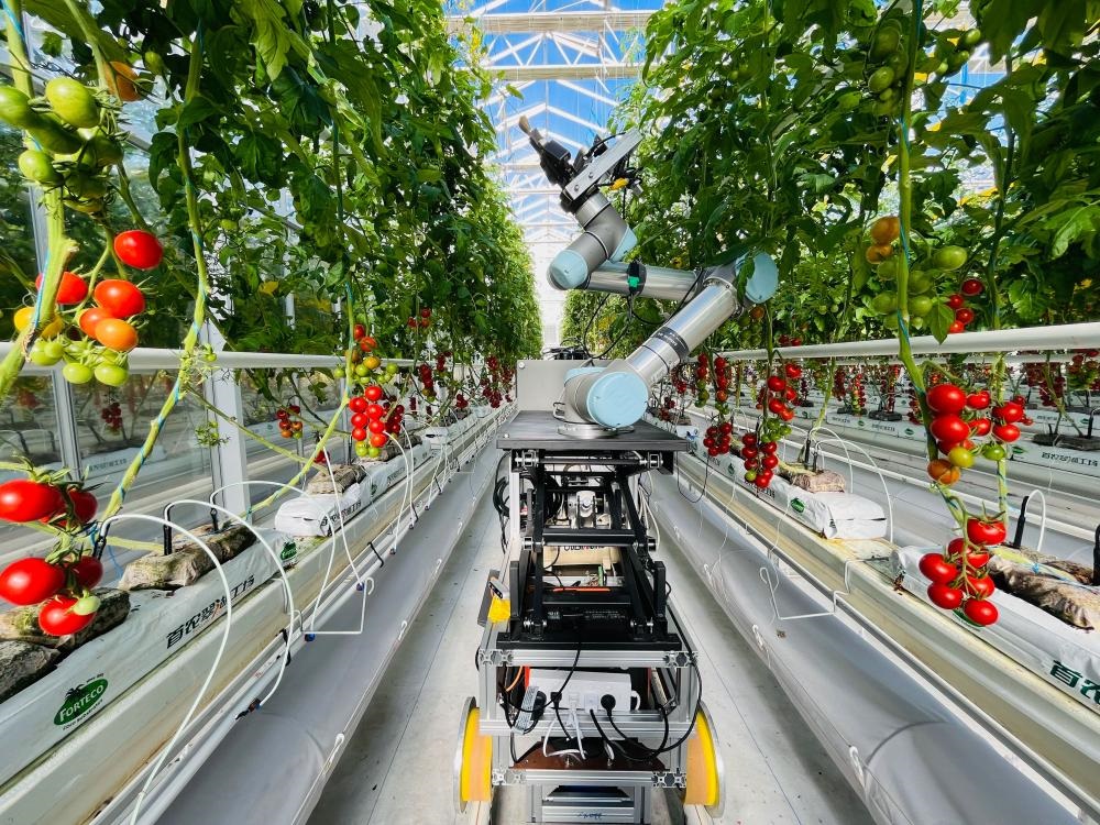 China's smart breeding industry blossoming in glow of AI-driven tech